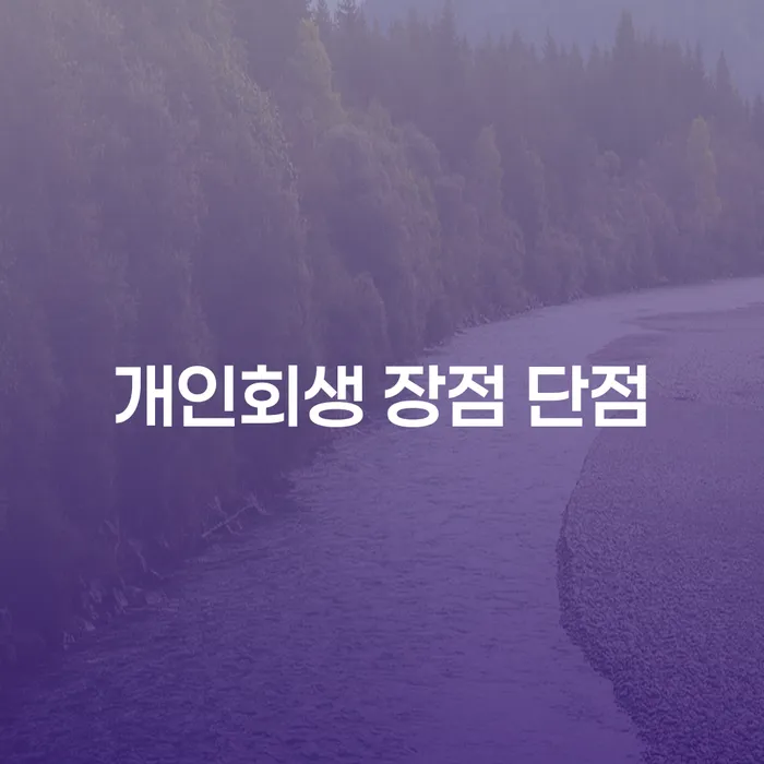 번동 개인회생이란 무엇인가